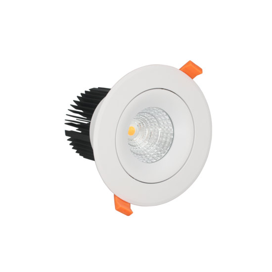 Profy Recessed spot illuminating red meat 20W 110mm to 130mm hole, 142 mm outside