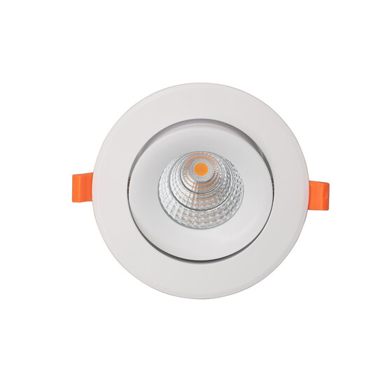 Profy Recessed spot illuminating red meat 20W 110mm to 130mm hole, 142 mm outside
