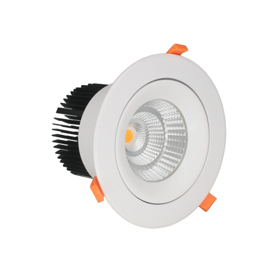 Profy 30W spot LED for red meat lighting 145mm to 170mm hole, 180mm outside