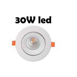 Spot LED 30W pour l'éclairage de la viande rouge Trou de 145mm à 170mm, extérieur de 180mm