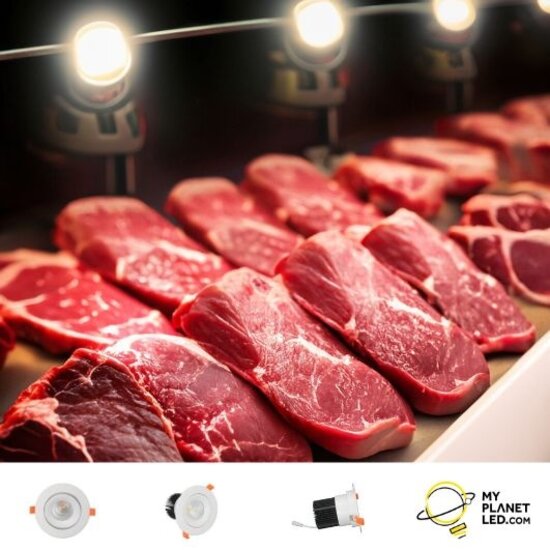 Profy Spot encastrable éclairant viande rouge 20W 110mm à trou 130mm, extérieur 142 mm