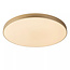 Giant brass ceiling lamp 80 cm dia LED Dim 80W 2700K 3 StepDim