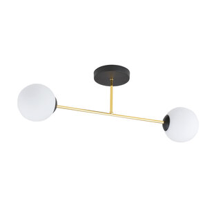 Small ceiling lamp with milk glass bulbs black and brass 2x E14
