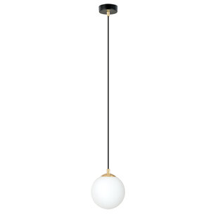 1 ball hanging black with brass and frosted glass