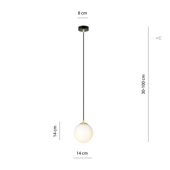 1 ball hanging black with brass and frosted glass