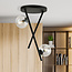 Black ceiling lamp with metal rods and 2 transparent glass balls E14