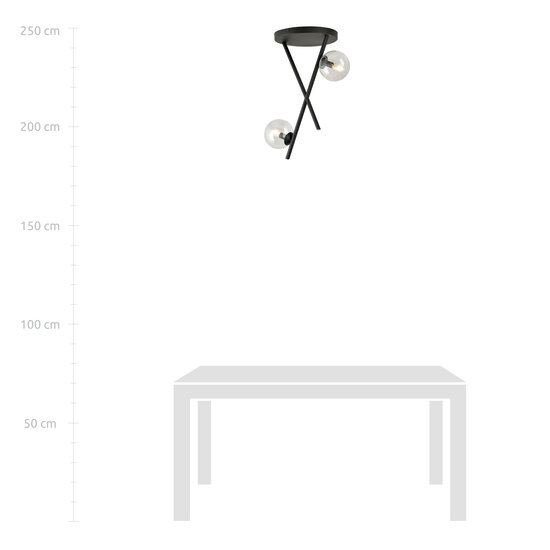 Black ceiling lamp with metal rods and 2 transparent glass balls E14