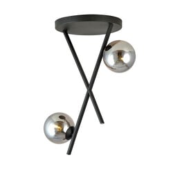 Emibig Black ceiling lamp with metal rods and 2 smoked glass balls E14