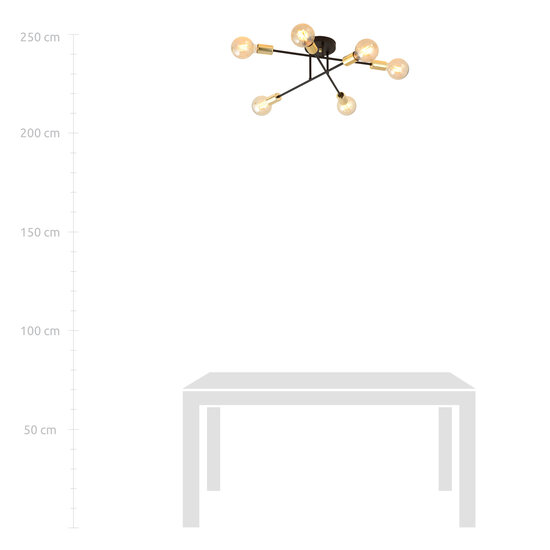 Zwarte plafondlamp met 6 armen en gouden E27 aansluiting