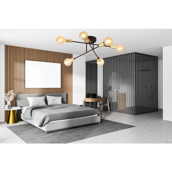 Zwarte plafondlamp met 6 armen en gouden E27 aansluiting