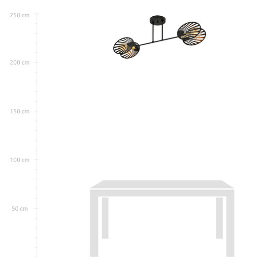 Mysterious ceiling lamp with metal translucent 2x E27