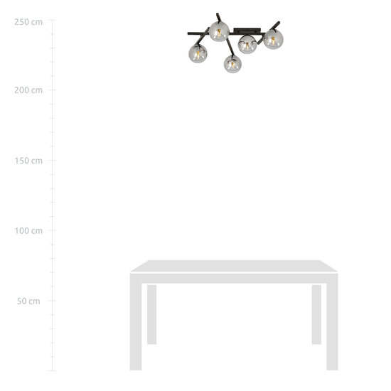 Plafondlamp met 5 gerookte bollen E14