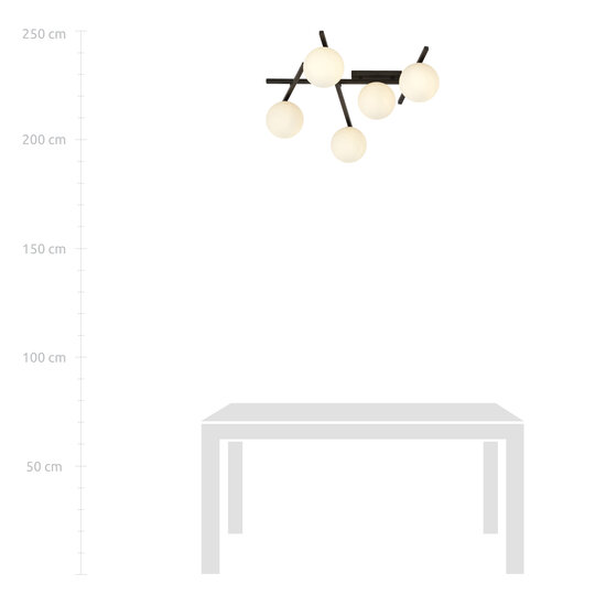 Mooie zwarte plafondlamp met 5 witte bollen E14