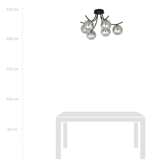 Plafonnier Copenhagen noir avec ampoules fumées verre E14