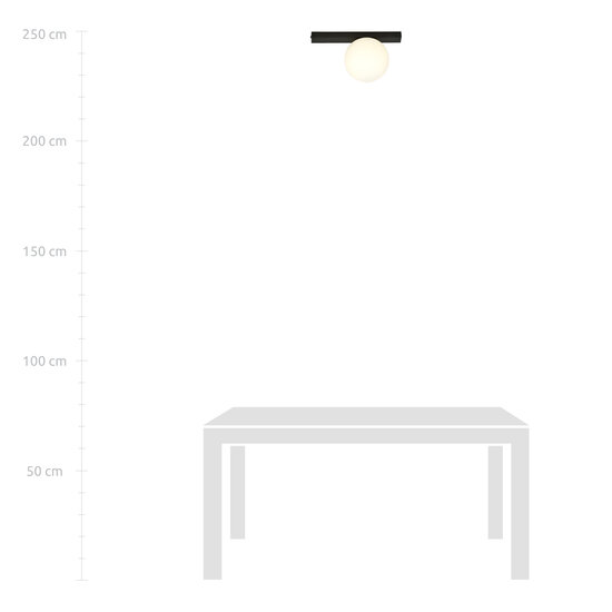 Aalborg Deckenleuchte schwarz mit weißer Glühbirne E14