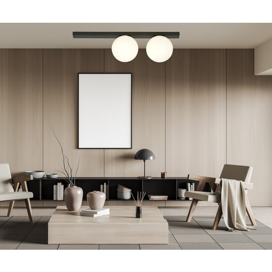 Aalborg medium plafondlamp zwart met 2 witte bollen E14