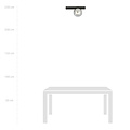 Aalborg beautiful black ceiling lamp with smoked bulb E14