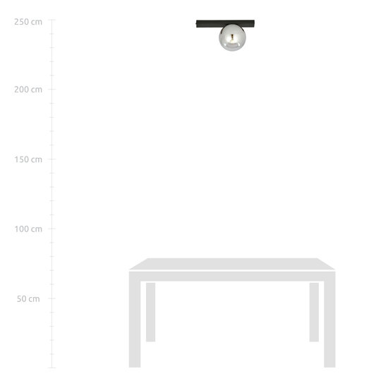 Preciosa lámpara de techo Aalborg negra con bombilla ahumada E14