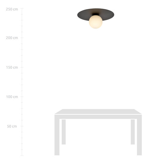 Esbjerg plafondlamp zwart met witte opaalglas bol E14
