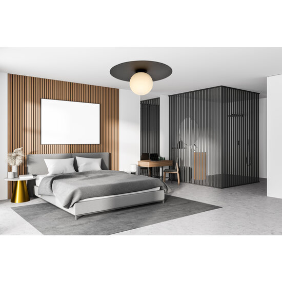 Esbjerg lámpara de techo negra con bombilla de cristal opal blanco E14