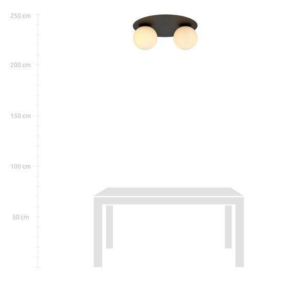 Esbjerg dubbele plafondlamp zwart met 2 witte opaalglas bollen E14