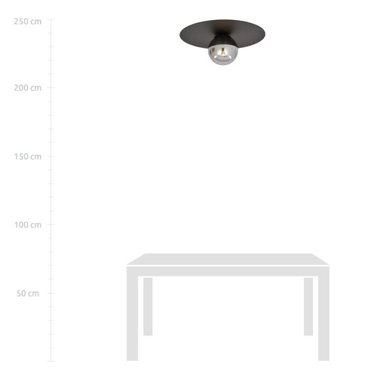 Esbjerg zwarte plafondlamp zwart met gerookt glas bol E14