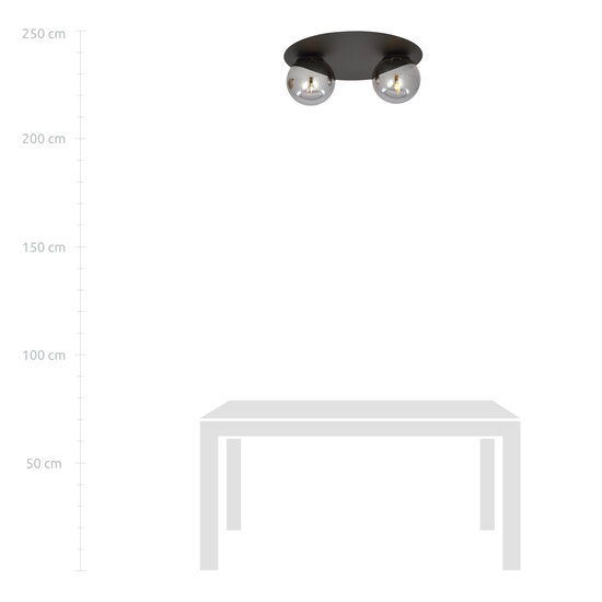 Esbjerg schwarze Doppel-Deckenleuchte mit 2 Rauchlampen E14