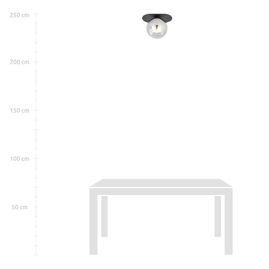 Randers zwarte ovale plafondlamp met gerookte glazen bol E14
