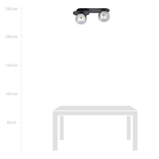 Randers black double oval ceiling lamp with 2 fumed glass bulbs E14