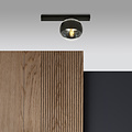 Aalborg black ceiling lamp with transparent striped bulb E14