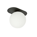 Randers ovale plafondlamp zwart met witte glazen bol E14