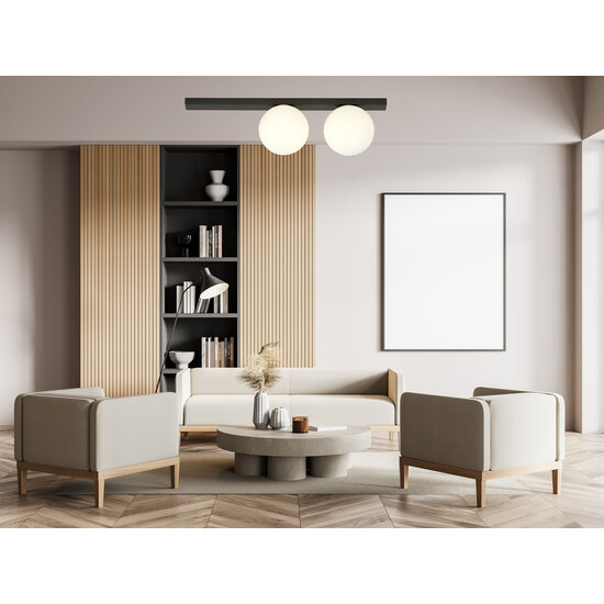 Plafonnier moyen Aalborg noir avec 2 ampoules blanches E14