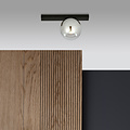 Aalborg beautiful black ceiling lamp with smoked bulb E14