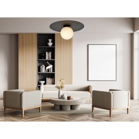 Plafonnier Esbjerg noir avec ampoule en verre opale blanc E14