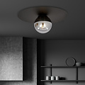Esbjerg zwarte plafondlamp zwart met gerookt glas bol E14