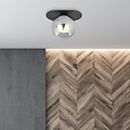 Randers zwarte ovale plafondlamp met gerookte glazen bol E14