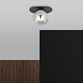 Randers zwarte ovale plafondlamp met gerookte glazen bol E14