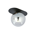 Randers zwarte ovale plafondlamp met gerookte glazen bol E14