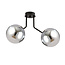 Emibig Emibig Lampe de plafond Kolding avec 2 ampoules fumées pour lampe E14 - Solution d'éclairage idéale pour les intérieurs modernes