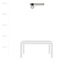 Horsens lange design plafondlamp zwart met gerookt glas bol E14