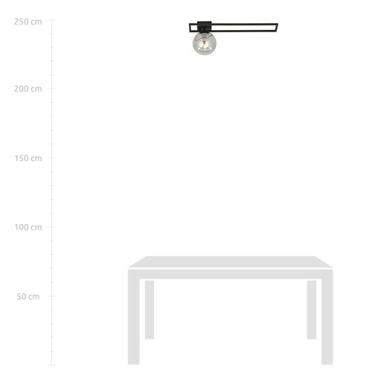 Horsens lange design plafondlamp zwart met gerookt glas bol E14