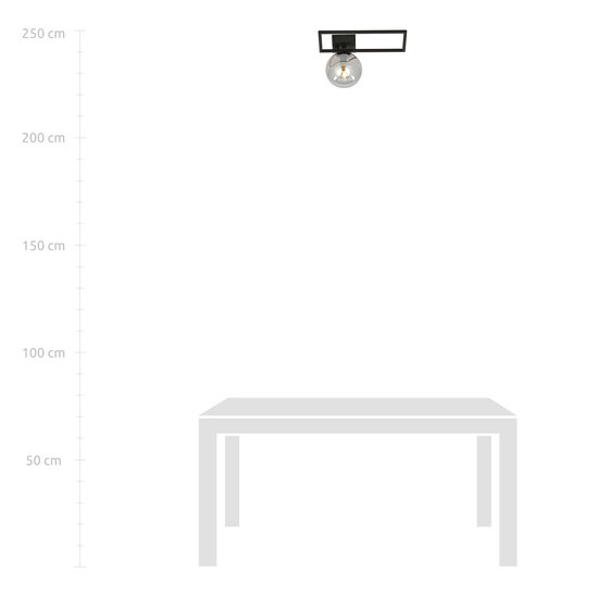 Plafón Horsens negro con bola de cristal fumigado E14
