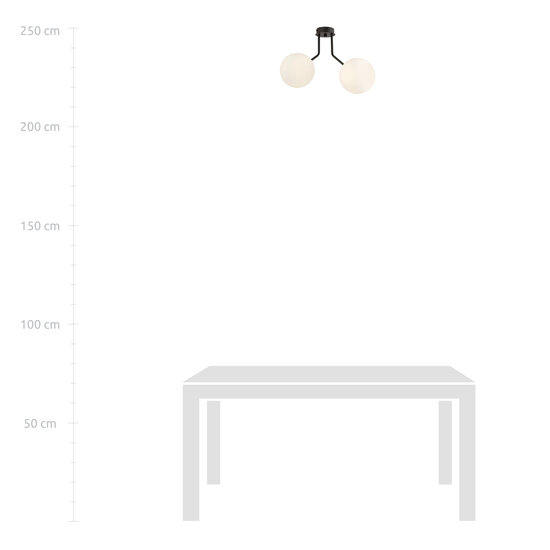 Plafonnier Kolding noir avec 2 ampoules rondes en verre blanc pour lampe E14