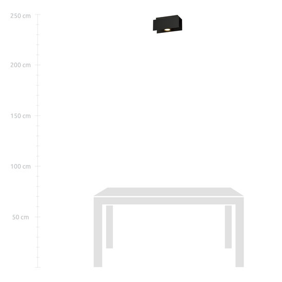 Silkeborg rectangle black ceiling spotlight 1x GU10