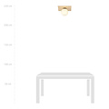 Slagelse scandinavische plafondlamp goud messing met opaal glazen bol E14