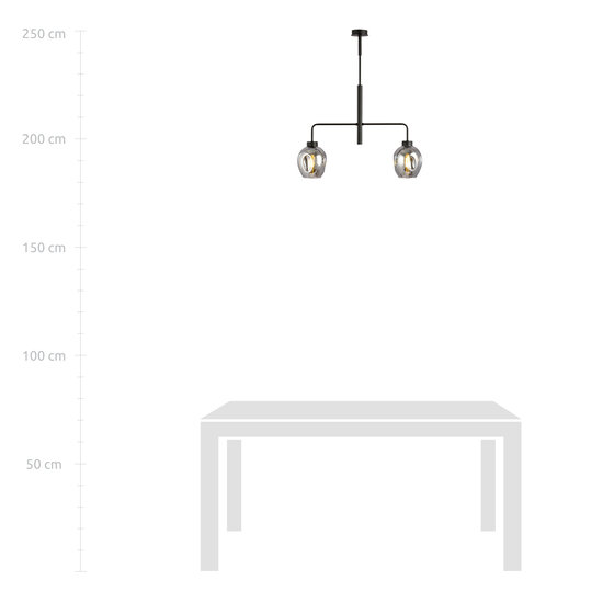 Emibig Emibig lámpara colgante Frederikshavn negra con 2 vidrios ahumados E27 - Ideal para una iluminación elegante