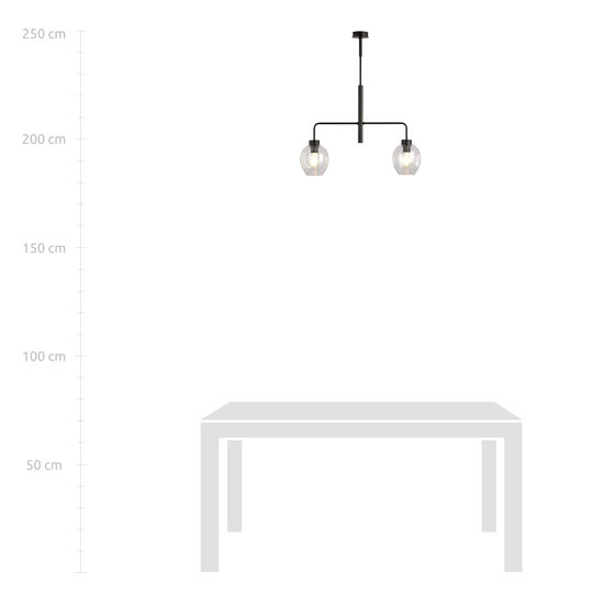 Frederikshavn belle lampe suspendue noire avec 2 verres transparents E27