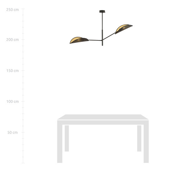 Skanderborg design hanging lamp with 2 black metal wings E14