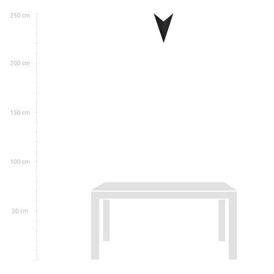 Haderslev arrow-shaped black wall lamp with G9 connection