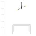 Hedensted hanglamp zwart met 2 witte glazen E14